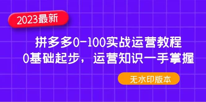 2023拼多多0-100實戰運營教程，0基礎起步，運營知識一手掌握（無水印）插圖