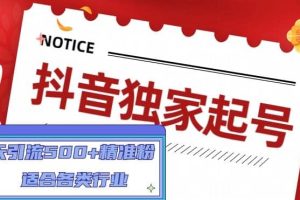 抖音獨(dú)家起號(hào)，適合各類行業(yè)（9節(jié)視頻課）