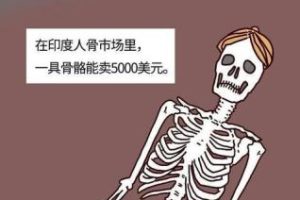 現在—個腎值多少錢