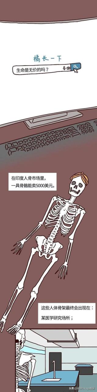現(xiàn)在—個腎值多少錢插圖 現(xiàn)在—個腎值多少錢插圖