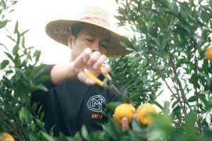 拼多多助力全是福氣滿滿拼多多福氣滿滿還有希望嗎