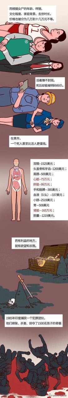 現(xiàn)在—個腎值多少錢插圖3 現(xiàn)在—個腎值多少錢插圖3