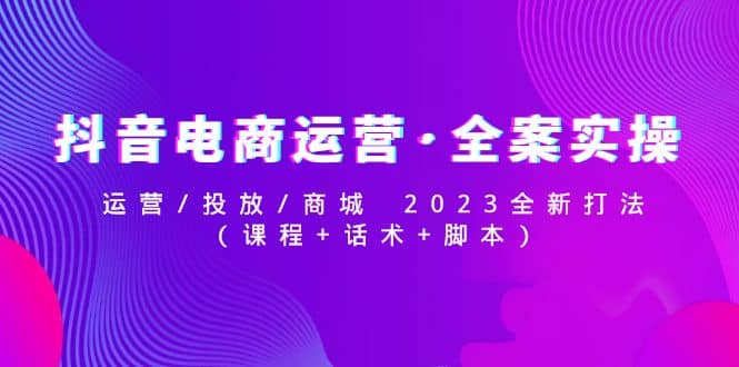 抖音電商運(yùn)營(yíng)·全案實(shí)操：運(yùn)營(yíng)/投放/商城 2023全新打法插圖