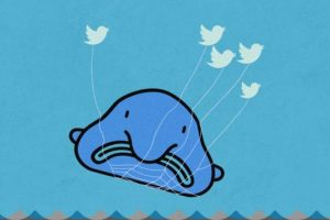 怎么看推特怎么看推特上的內容啊