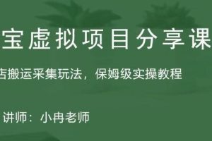 淘寶虛擬整店搬運采集玩法分享課：整店搬運采集玩法，保姆級實操教程