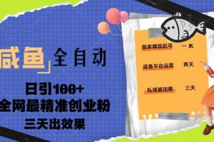 23年咸魚(yú)全自動(dòng)暴力引創(chuàng)業(yè)粉課程，日引100 三天出效果