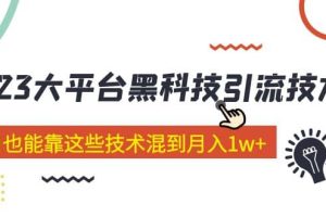 價值4899的2023大平臺黑科技引流技術 29節課