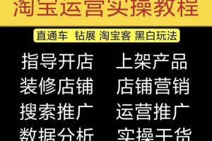 2023淘寶開店教程0基礎到高級全套視頻網店電商運營培訓教學課程（2月更新）