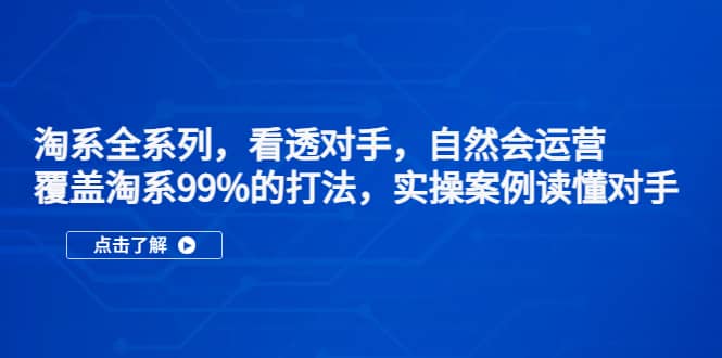 淘系全系列，看透對手，自然會運營，覆蓋淘系99%·打法，實操案例讀懂對手插圖