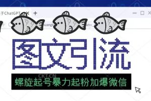 23年價(jià)值1980的圖文引流創(chuàng)業(yè)粉螺旋起好技術(shù)暴力起粉加爆微信