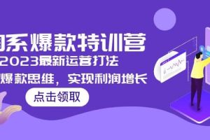 2023淘系爆款特訓(xùn)營(yíng)，2023最新運(yùn)營(yíng)打法，學(xué)習(xí)爆款思維，實(shí)現(xiàn)利潤(rùn)增長(zhǎng)