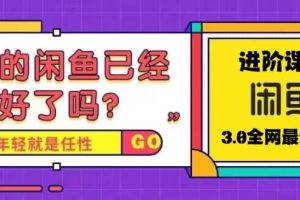 火爆全網的咸魚玩法進階課程，咸魚進階課程