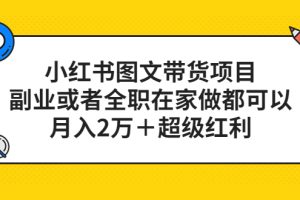 小紅書圖文帶貨項目，副業或者全職在家做都可以