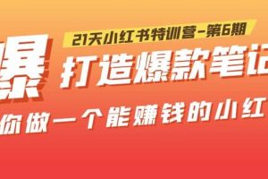 21天小紅書特訓(xùn)營-第6期，打造爆款筆記，帶你做一個能賺錢的小紅書
