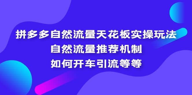 拼多多自然流量天花板實(shí)操玩法：自然流量推薦機(jī)制，如何開車引流等等插圖
