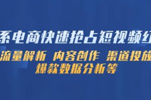 淘系電商快速搶占短視頻紅利：流量解析 內容創作 渠道投放 爆款數據分析等