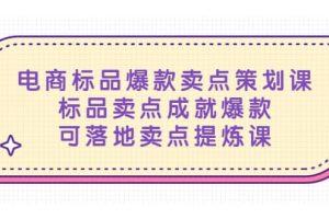 電商標品爆款賣點策劃課，標品賣點成就爆款，可落地賣點提煉課