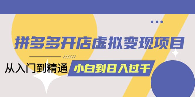 拼多多開店虛擬變現(xiàn)項(xiàng)目：入門到精通 從小白到日入1000（完整版）4月10更新插圖