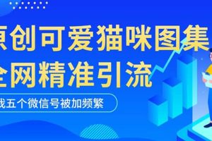 黑科技純原創可愛貓咪圖片，全網精準引流，實操5個VX號被加頻繁