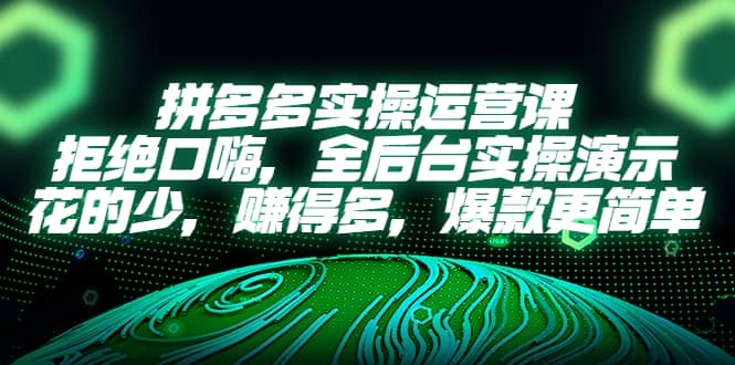 拼多多實操運營課：拒絕口嗨，全后臺實操演示，花的少，賺得多，爆款更簡單插圖