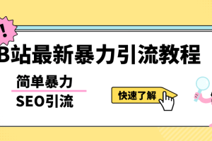 b站最新引流方法，暴力SEO引流玩法，一天可以量產幾百個視頻（附帶軟件）