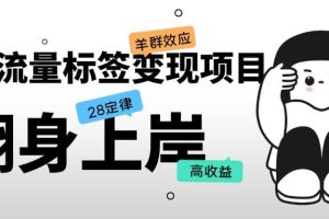 抖音流量標簽變現項目，抖音創業粉輕松轉化，單價高收益簡單