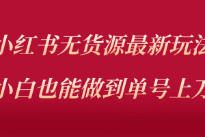 小紅書無貨源最新螺旋起號玩法，電商小白也能做到單號上萬（收費3980）