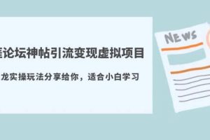 天涯論壇神帖引流變現虛擬項目，一條龍實操玩法分享給你（教程 資源）