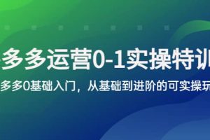 拼多多-運營0-1實操訓練營，拼多多0基礎入門，從基礎到進階的可實操玩法