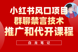 小紅書風(fēng)口項目日入300 ，小紅書群聊禁言技術(shù)代開項目，適合新手操作