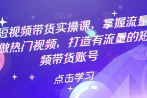 熱門短視頻帶貨實(shí)戰(zhàn) 掌握流量密碼 做熱門視頻 打造有流量的短視頻帶貨賬號