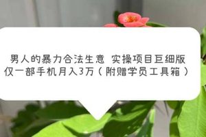 男人的暴力合法生意實(shí)操項(xiàng)目巨細(xì)版：僅一部手機(jī)月入3w（附贈(zèng)學(xué)員工具箱）