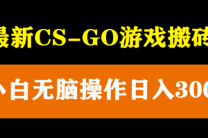 最新csgo游戲搬磚游戲，無(wú)需掛機(jī)小白無(wú)腦也能日入300
