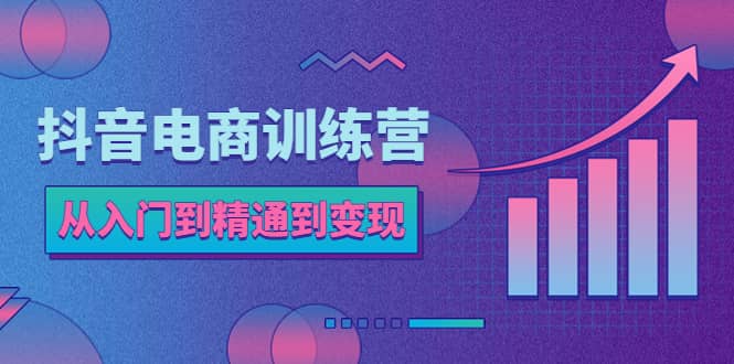 抖音電商訓(xùn)練營：從入門到精通，從賬號(hào)定位到流量變現(xiàn)，抖店運(yùn)營實(shí)操插圖