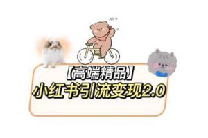 小紅書最新引流變現(xiàn)2.0教程，全網(wǎng)最新最詳細的視頻教程 素材