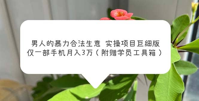 男人的暴力合法生意實(shí)操項(xiàng)目巨細(xì)版：僅一部手機(jī)月入3w（附贈(zèng)學(xué)員工具箱）插圖