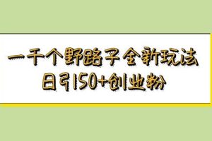 一千個(gè)野路子全新玩法 日引50 創(chuàng)業(yè)粉