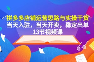 拼多多店鋪運營思路與實操干貨，當天入駐，當天開賣，穩定出單（13節課）