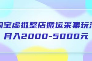 淘寶虛擬整店搬運(yùn)采集玩法分享課：月入2000-5000元（5節(jié)課）