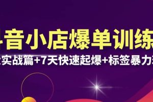 抖音小店爆單訓(xùn)練營(yíng)VIP線下課：6大實(shí)戰(zhàn)篇 7天快速起爆 標(biāo)簽暴力玩法(32節(jié))