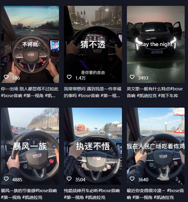 抖音開車視頻項(xiàng)目,0基礎(chǔ)操作,每天五分鐘,月入1W插圖1 抖音開車視頻項(xiàng)目,0基礎(chǔ)操作,每天五分鐘,月入1W插圖1