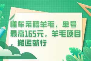 懂車帝薅羊毛，單號最高165元，羊毛項目，搬運就行