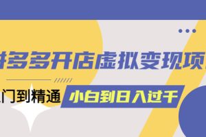 拼多多開店虛擬變現項目：入門到精通 從小白到日入1000（完整版）6月13更新
