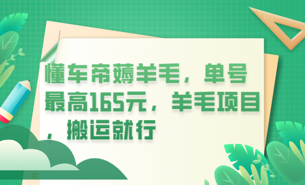 懂車帝薅羊毛，單號最高165元，羊毛項目，搬運就行插圖