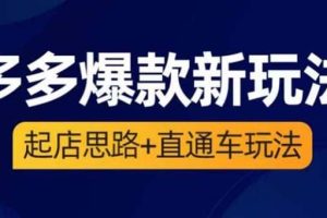 2023拼多多爆款·新玩法：起店思路 直通車玩法（3節精華課）