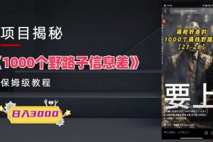 1000個野路子信息差保姆式教程-單日變現3000 的玩法解密