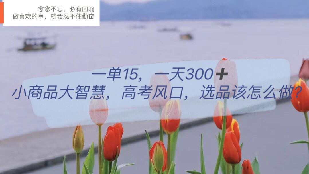 一單15，一天300 ，小商品大智慧，高考風口，選品該怎么布局插圖
