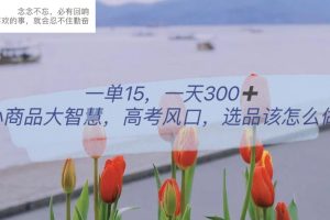一單15，一天300 ，小商品大智慧，高考風口，選品該怎么布局