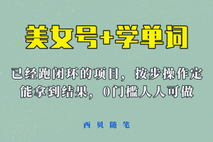 《美女號(hào) 學(xué)單詞》玩法，信息差而已 課程拆開(kāi)揉碎了和大家去講 (教程 素材)