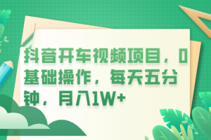 抖音開車視頻項(xiàng)目，0基礎(chǔ)操作，每天五分鐘，月入1W